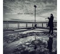 David Weiss - When Words Fail