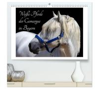 Weiße Pferde der Camargue in Bayern (hochwertiger Premium Wandkalender 2026 DIN A2 quer), Kunstdruck in Hochglanz: Das Camargue-Pferd ist eine der schönsten Pferderassen weltweit.