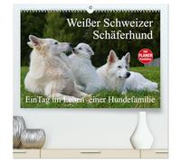 Weißer Schweizer Schäferhund - Ein Tag im Leben einer Hundefamilie (hochwertiger Premium Wandkalender 2026 DIN A2 quer), Kunstdruck in Hochglanz: Auf ... Tag im Leben einer Hundefamilie teilhaben