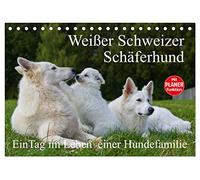 Weißer Schweizer Schäferhund - Ein Tag im Leben einer Hundefamilie (Tischkalender 2026 DIN A5 quer), CALVENDO Monatskalender: Auf 13 Kalenderblättern ... Tag im Leben einer Hundefamilie teilhaben