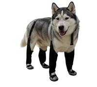 weiting Botas para Perros | Impermeable Antideslizante Ajustable y Transpirable - Equipo De Nieve para Perros | para Caza en Hielo, Senderismo Urbano, Camping y
