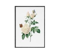 weiwie Pintura de Flores de Plantas Modernas, Lilas, peonía, Redoute, campanillas, Rosas, Pintura Decorativa, Sala de Estar, Carteles de Arte de Pared Rosa (Color : F, Size : 20x30cm No Frame)