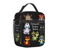WEIXNCXCJ Comment Dresser Votre Film Dragons Sac à Lunch isotherme pour Pique-Sac alimentaire Portable Glacière Boîtes à Lunch thermiques