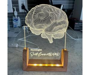 WEIYOUDP Luz nocturna personalizada, regalos de neurología cerebral, placas acrílicas personalizadas, lámpara de nombre, amantes de la ciencia, regalo de graduación de estudiantes de psicología