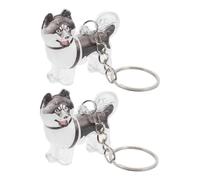 WEKADRIN 2 Piezas Pet Hair Storage Keychain Transparent Dog Hair Keepsake Box Pendant Portable Memorial Collector For Bags Keys Backpacks and Secure Design