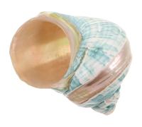 WEKADRIN Conchas Marinas Naturales Fluorescentes Colección de Conchas Mediterráneas Adorno Decorativo Oceánico para Acuario y Decoración de Mesa Juguete Educativo de Biología Marina