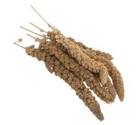 WEKADRIN Golosina de Mijo Natural para Pájaros Mascota Espigas Cáscara 500 G Alimento para Periquitos Loros Pinzones y Agapornis Snack Saludable para Jaulas y Entrenamiento