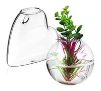WEKADRIN Macetas Colgantes de Pared 2 Unidades de Vidrio de Borosilicato Transparente 10 CM para Propagación y Decoración de Plantas Interiores Terrario y Pecera Multifunctional