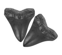 WEKADRIN Réplicas de Dientes de Tiburón Megalodon Modelo Gigante de Resina 2 Piezas para Decoración Paleontológica Ornamento Retro y Prácticas Docentes en Hogar y Oficina