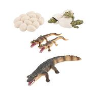 WEKAMOS de Educativo de Plástico para Simulación Realista del Ciclo de Crecimiento Juguete Didáctico para Desarrollo Inteligencia Infantil Regalo para Decoración Interior y Exterior