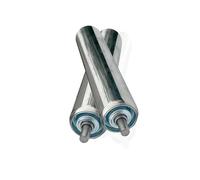 WEKONUMEX Rodillo transportador, Rodillos de Repuesto metálicos for Cintas transportadoras sin Motor, Paquete de 2 Unidades, Color Plata, Varios tamaños(Diameter 25mm/1 Inch,L 800mm)