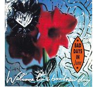 Welcome to Brand New Da