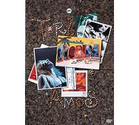 Welcome to Sunny Florida [Reino Unido] [DVD]