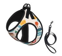 Welcome To Switzerland Travel Print - Juego de arnés y correa para perros pequeños, chaleco suave ajustable con correas reflectantes de 360° para gatos y cachorros