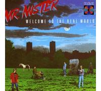 Welcome to the Real World by Mr Mister (2008-03-01)