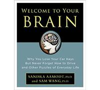 Welcome to Your Brain: Why You lose Your Car Keys but Never Forget How to Drive and Other Puzzles of Everday Life