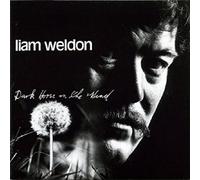 Weldon, Liam - Dark Horse On The Wind