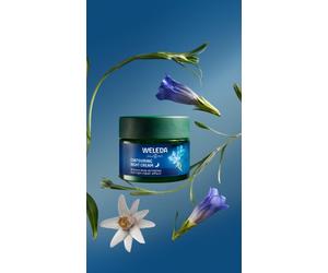 Weleda Crema lifting de noche Genciana azul y Hamamelis alpina