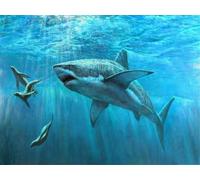 WELIWE 5D Pintura de Diamante Kits DIY diamantes de imitación PinturaKit de Arte Adultos y Niños Decoración de La Pared Del Hogar Tiburón 40x50 cm