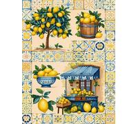 WELIWE 5D Pintura de Diamante Kits DIY diamantes de imitación PinturaKit de Arte Adultos y Niños Decoración de La Pared Del Hogar Fruta en una tienda 40x50 cm