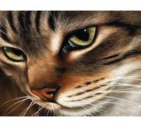 WELIWE 5D Pintura de Diamante Kits DIY diamantes de imitación PinturaKit de Arte Adultos y Niños Decoración de La Pared Del Hogar Cara de gato 40x50 cm