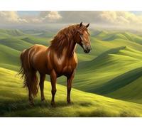 WELIWE 5D Pintura de Diamante Kits DIY diamantes de imitación PinturaKit de Arte Adultos y Niños Decoración de La Pared Del Hogar Caballo de la pradera 40x50 cm