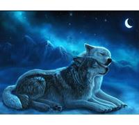 WELIWE 5D Pintura de Diamante Kits DIY diamantes de imitación PinturaKit de Arte Adultos y Niños Decoración de La Pared Del Hogar Pareja de animales 40x50 cm