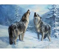 WELIWE Juego de pintura de diamantes 5D para adultos DIY kit de imitación de cristal decoración de la Pared del hogar Lobo nevado 40x50 cm