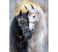 WELIWE Juego de pintura de diamantes 5D para adultos DIY kit de imitación de cristal decoración de la Pared del hogar Dos caballos 40x50 cm