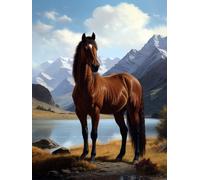 WELIWE Kits de punto de cruz para adultos 11CT Kit de inicio de bordado de punto de cruz preimpreso para decoración del hogar de pared caballo animal 40x50 cm