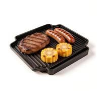 WELL GRILL Plancha para barbacoa de 24 cm, sartén de hierro fundido para hornillo de camping, hornillo de gas, accesorio para barbacoa, placa de hierro fundido para Campingaz Camp Bistro DLX Stopgaz