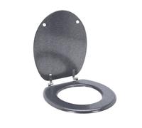 Well Home Asiento de Inodoro MDF con tapa y Bisagras de Acero inoxidable color Plata 37,5x5,5x45cm