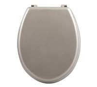 Well Home Asiento WC, con bisagras acero inoxidable, acabado, color plateado