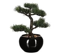 WELL HOME - Bonsai artificial en maceta de cerámica