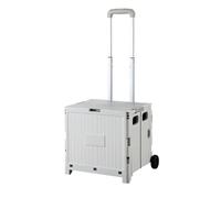 Well Home Carro de la Compra Plegable Tipo Caja con Tapa y Ruedas, Caja de Almacenaje para Maletero de Coche, Asa Telescópica Reforzada, Capacidad 32L