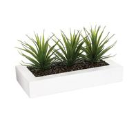 Well home - centro de mesa decorativo con 3 plantas aloe vera h.17cm