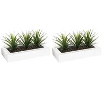 Well Home - Centro de Mesa Decorativo con 3 Plantas Aloe Vera H.17cm (Paquete de 2)