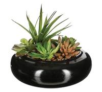 WELL HOME - Composición de centro formado por un surtido de plantas con florero de cerámica