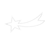 Well Home Iluminación Navideña Estrella Fugaz con 35 Luces LED RGB con Controlador 25x0,6x60cm