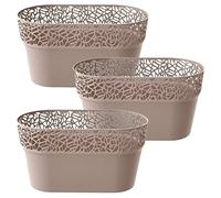 WELL HOME MOBILIARIO & DECORACIÓN 3X Maceta Rectangular de plastico Tree en Color Mocca 27,5 (Largo) x 14,5 (Ancho) x 14,8 (Alto) cm