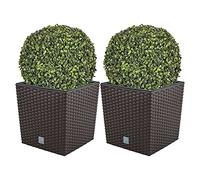 WELL HOME MOBILIARIO & DECORACIÓN Doble Set de Maceta Rato 32 litros con cubilete para Plantar en Color Chocolate 33 x 33 x 33 cm + Bola de boj diámetro 36 cm
