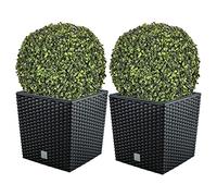 WELL HOME MOBILIARIO & DECORACIÓN Doble Set de Maceta Rato 32 litros con cubilete para Plantar en Color Antracita 32 x 32 x 32,5 cm + Bola de boj diámetro 36 cm