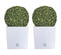 WELL HOME MOBILIARIO & DECORACIÓN Doble set de Maceta Rato 32 litros con cubilete para plantar en color blanco 33 x 33 x 33 cm + Bola de boj diámetro 36 cm