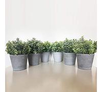 WELL HOME MOBILIARIO & DECORACIÓN Plantas Surtidas Artificiales de 18 cm con Maceta en Color Gris, Pack 6 St016, 22x6x6 cms