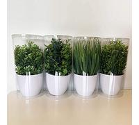 WELL HOME MOBILIARIO & DECORACIÓN Plantas Surtidas Artificiales de 23 cm con Maceta, Pack 12 St017, 13x7x7 cms