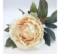 WELL HOME MOBILIARIO & DECORACIÓN Ramo de peonía Tela en Color, Salmón 80 Cm, Unitario