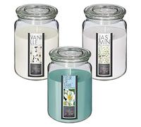 WELL HOME MOBILIARIO & DECORACIÓN SET DE 3 VELAS DE CRISTAL PERFUMADAS CON AROMAS A JAZMÍN, VAINILLA Y FLOR DE TIARÉ