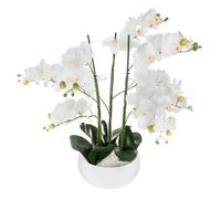 Well home - orquídea olla cerámica blanca h65