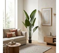 Palmera platanera artificial de 160cm - planta tropical banano grande con hojas realistas y maceta negra para interior 15 cm