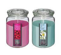 Well Home Set de 2 Velas Perfumadas (Flor de tiare + Frambuesa) de 510g en recipiente de cristal Ø10 x H.14,5cm